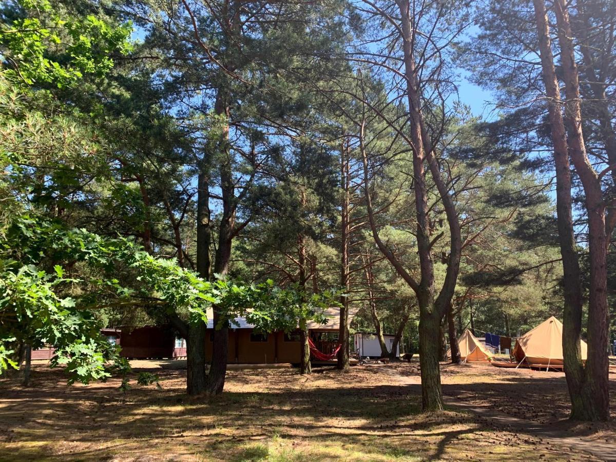 Camping Camp Bursztynowy