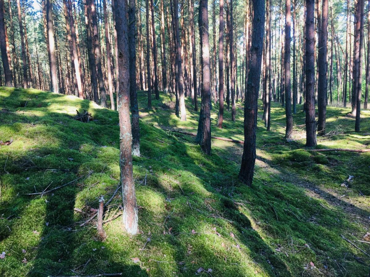 Camp Bursztynowy Camping *