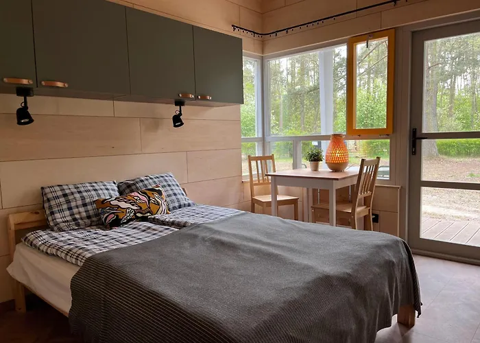 Camp Bursztynowy Las
